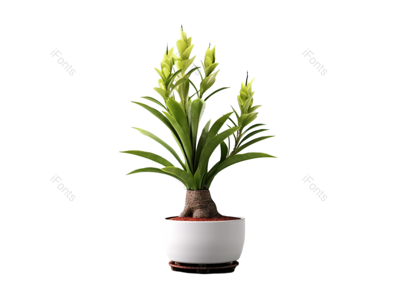 装饰图片,清新元素,白色背景PNG,花盆免抠素材